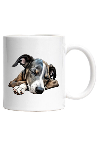 StoryGift Romania Cana cu un catel care doarme lat | ilustratie | somn adanc ...