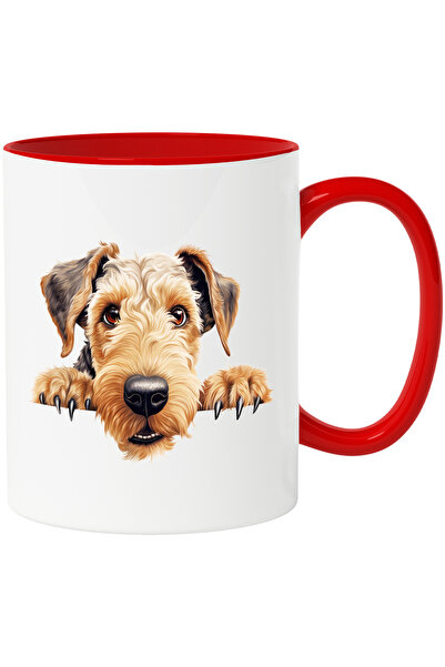 StoryGift Romania Cana cu un caine blanos care se uita peste gard | ilustrati...