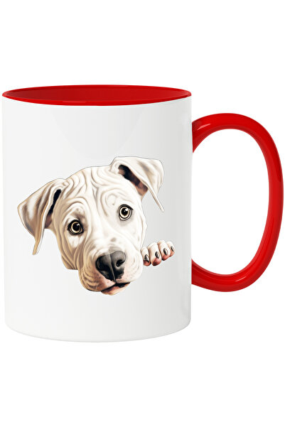 StoryGift Romania Cana cu un catel alb care se uita sfios | ilustratie | labu...