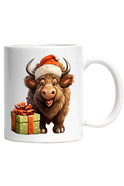 StoryGift Romania Cana cu un zimbru vesel care a primit un cadou de Craciun |...