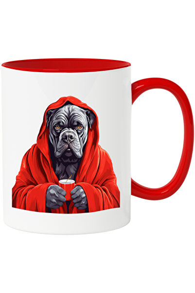 StoryGift Romania Cana cu un caine gri care poarta un capod rosu | racit | ca...