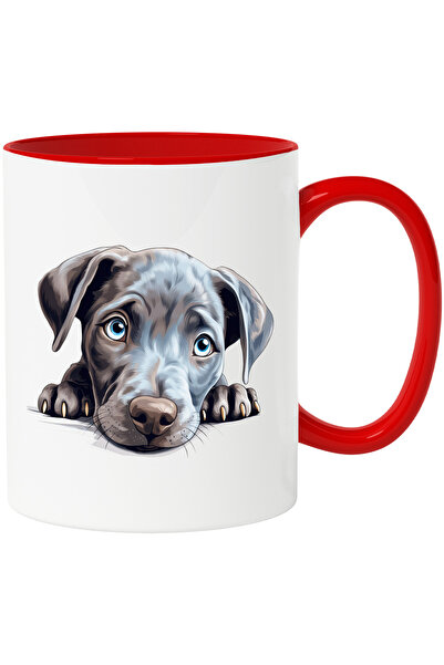 StoryGift Romania Cana cu un catelus timid | ilustratie | cenusiu | ochi puti...