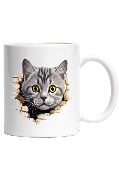 StoryGift Romania Cana cu o pisica mirata | ilustratie | se uita socata | gri...