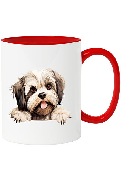 StoryGift Romania Cana cu un catel blanos de talie mica | ilustratie | limba ...