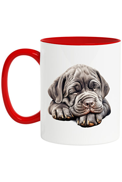 StoryGift Romania Cana cu un catelus gri care doarme | ilustratie | obosit | ...