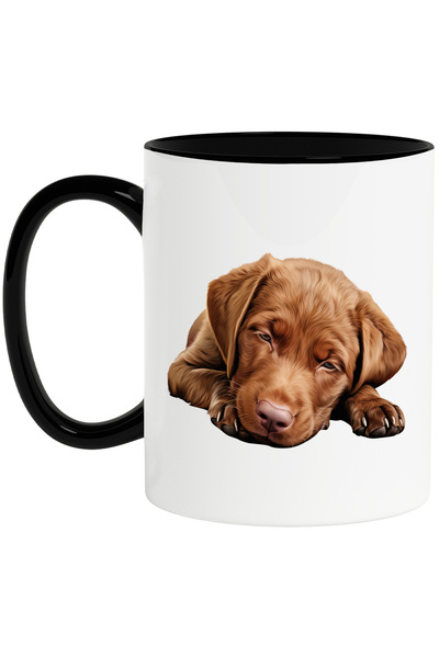 StoryGift Romania Cana cu un catelus maro care aproape ca adoarme | ilustrati...