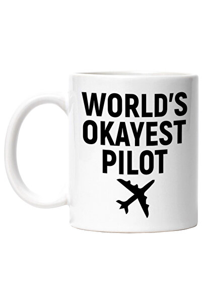 StoryGift Romania Cana cu un avion pentru cel mai in regula pilot - zboruri c...