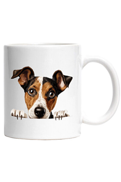 StoryGift Romania Cana cu un catel care se uita surprins peste gard | ilustra...