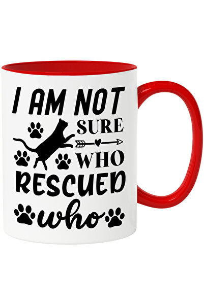 StoryGift Romania Cana pentru iubitorii de pisici care nu sunt siguri daca ei...