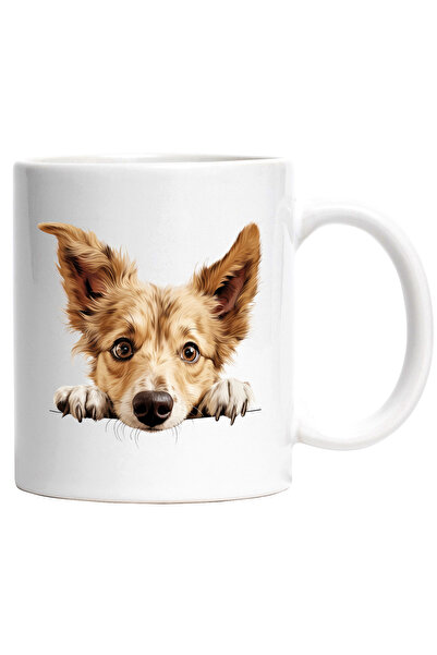 StoryGift Romania Cana cu un caine sfios care se uita peste gard | ilustratie...