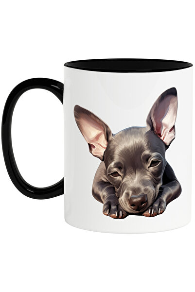 StoryGift Romania Cana cu un catel aproape adormit | ilustratie | somnoros | ...