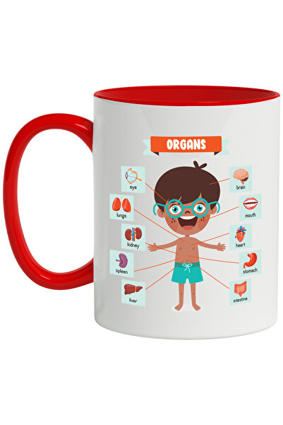 StoryGift Romania Cana Cu Anatomie, Organe, Ochi, Stomac, Gura, Plamani, Diag...