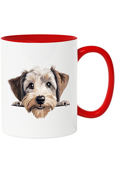 StoryGift Romania Cana cu un caine blanos care se uita peste gard | ilustrati...