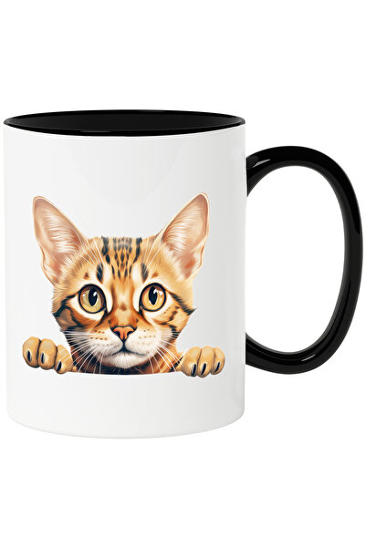 StoryGift Romania Cana cu o pisicuta serioasa | privire surprinsa | ilustrati...