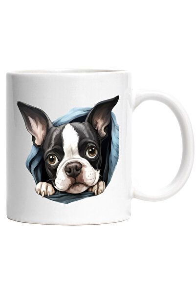 StoryGift Romania Cana cu un catel trist | ilustratie | dezamagit | scoate ca...