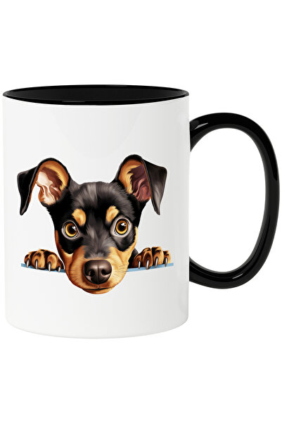 StoryGift Romania Cana cu un catel surprins care se uita peste gard | ilustra...