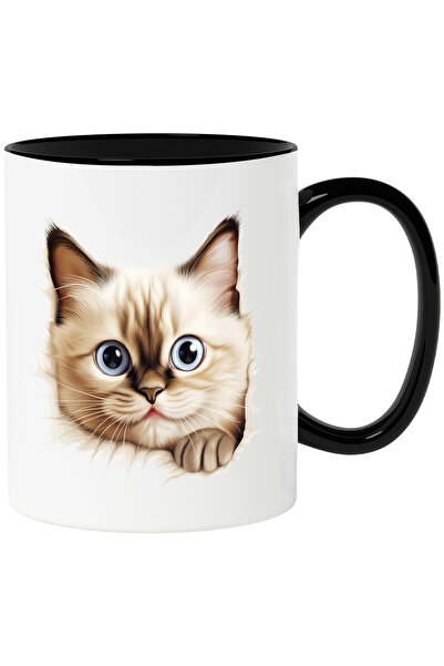 StoryGift Romania Cana cu o pisica Birmaneza socata | ilustratie | priveste u...