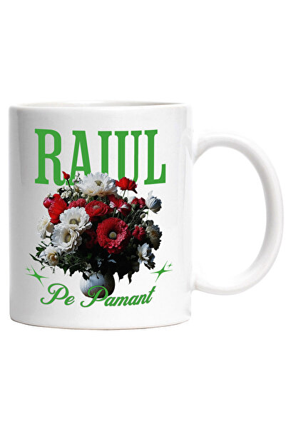 StoryGift Romania Cana cu Vaza Plina Cu Flori Colorate Text Raiul Pe Pamant. ...