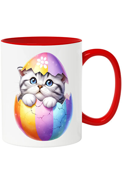 StoryGift Romania Cana cu o pisicuta curioasa care iese dintr-un ou spart | i...