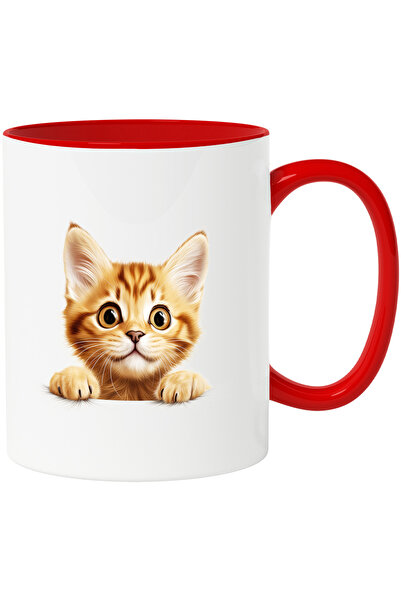 StoryGift Romania Cana cu o pisicuta surprinsa care sta agatata | ilustratie ...