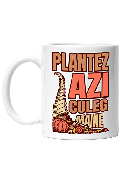 StoryGift Romania Cana Legume Text Plantez azi, culeg maine, traiesc bine, 330ml, Ceramic cu Maner, Cu Maner Alb