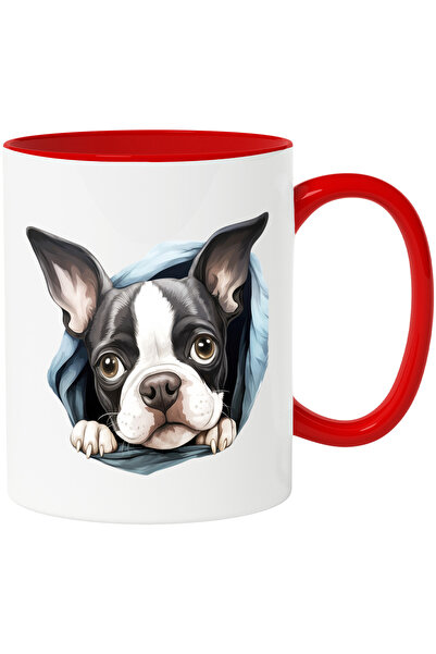 StoryGift Romania Cana cu un catel trist | ilustratie | dezamagit | scoate ca...