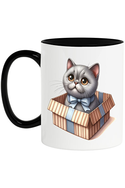 StoryGift Romania Cana cu o pisicuta care iese dintr-o cutie de cadou | adopt...