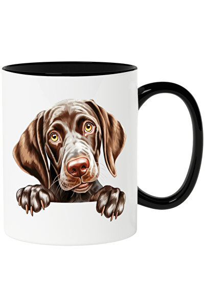 StoryGift Romania Cana cu un caine surprins | ilustratie | cam sfios | pentru...