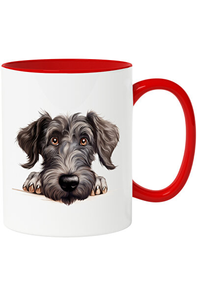 StoryGift Romania Cana cu un caine blanos care priveste surprins | ilustratie...