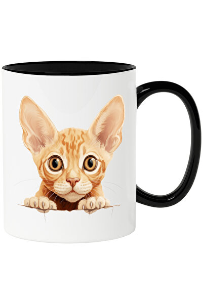 StoryGift Romania Cana cu o pisicuta speriata | ilustratie | socata | privire...