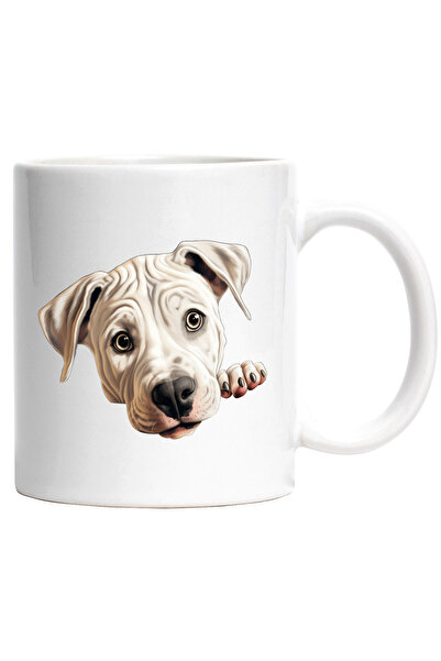 StoryGift Romania Cana cu un catel alb care se uita sfios | ilustratie | labu...