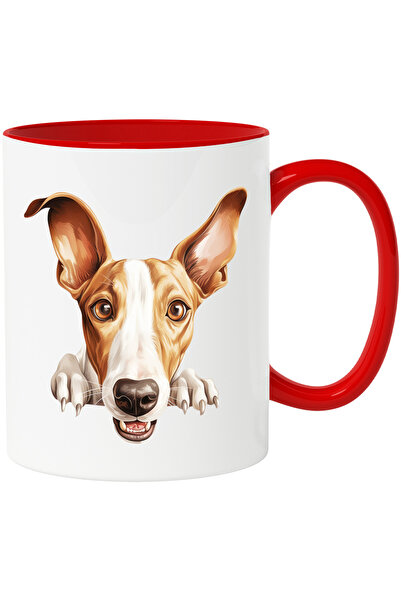 StoryGift Romania Cana cu un catel care priveste surprins | ilustratie | ghea...