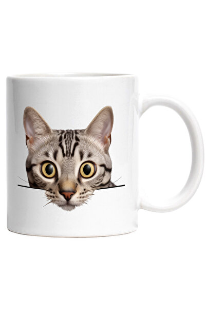 StoryGift Romania Cana cu o pisicuta care se uita surprinsa | ilustratie | ui...