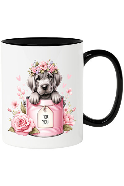 StoryGift Romania Cana cu un catel gri rusinos care iese dintr-o conserva | i...