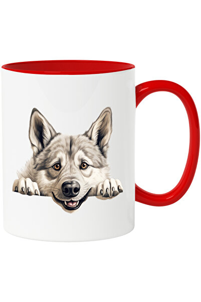 StoryGift Romania Cana cu un lup care se uita peste gard | ilustratie | ghear...