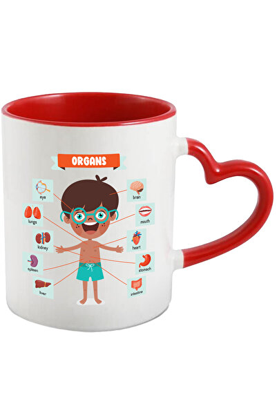 StoryGift Romania Cana Cu Anatomie, Organe, Ochi, Stomac, Gura, Plamani, Diag...