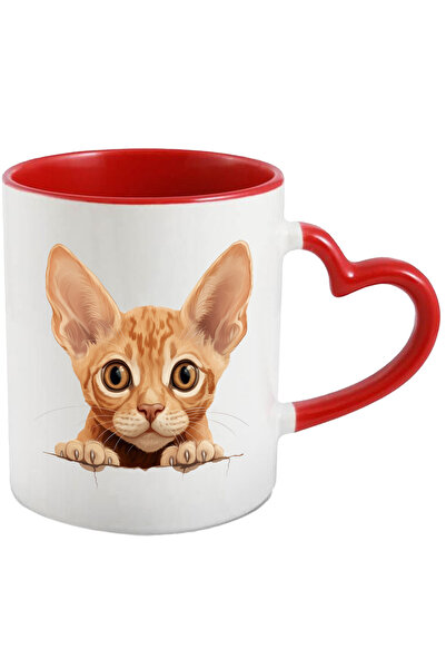 StoryGift Romania Cana cu o pisicuta speriata | ilustratie | socata | privire...