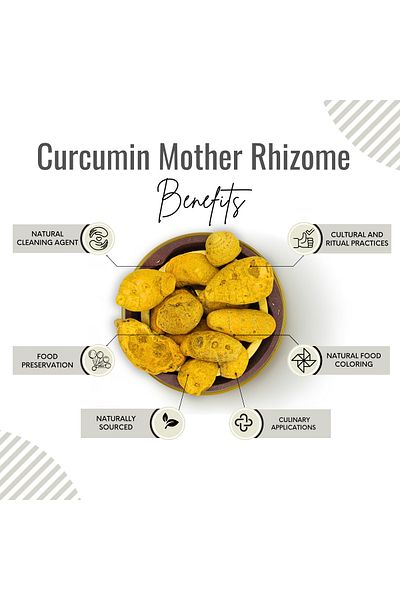 AWAFI MILL Curcumin Mother Rhizome | Dried Turmeric - Bottle of 100 gram / 3.5 Oz