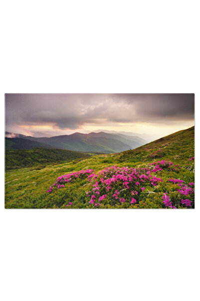 StoryGift Romania Tablou Canvas Flori In Munti La Rasarit Munti, Flori, Natur...