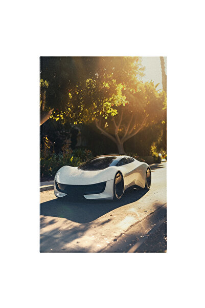 StoryGift Romania Tablou Canvas Masina Viitorului Electrica Tesla De Culoare ...