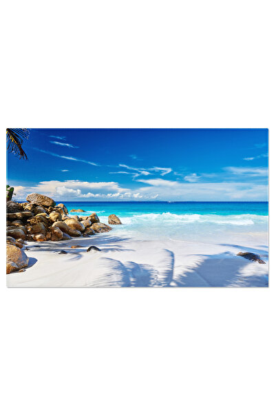 StoryGift Romania Tablou Canvas Plaja Carana Din Seychelles Peisaj Tropical D...