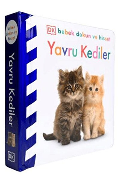 Beta Kids Yayınları Yavru Kediler-Dk Bebek Dokun Ve Hisset Serisi (Ciltli)
