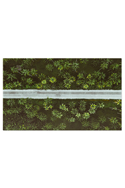 StoryGift Romania Tablou Canvas Magia Culoarelor In Padurea Tropicala, Drona,...