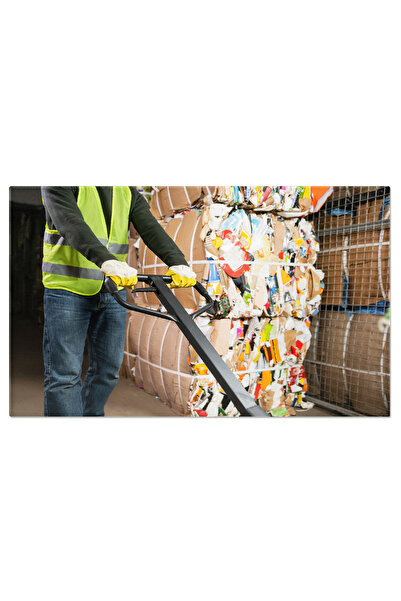 StoryGift Romania Tablou Canvas Responsabilitate Ecologica Sortator Deseuri P...