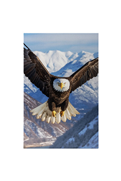 StoryGift Romania Tablou Canvas: Vultur Plesuv Zburand Peste Munti Cu Zapada ...