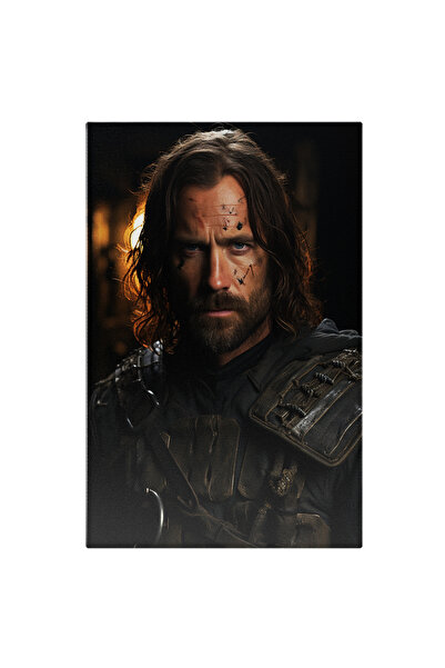 StoryGift Romania Tablou Canvas: Portret Close-up Barbat Cu Par Lung Brunet Si Ochii Albastri Zgariat Barba Sange