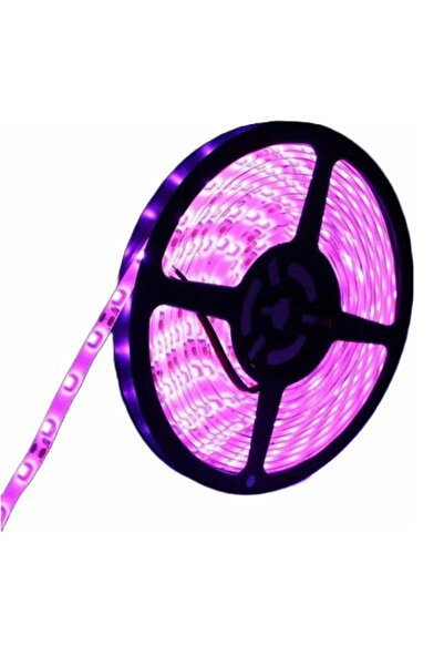 Ledarmy 5metre LED Şerit 5050 DC12V Pembe Renkli (60LED/M) IP20 Işık Aydınlatma Lambası Hortum Kendinden Yap