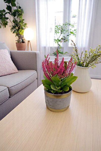 Arte Cotone Dekoratif Saksılık | Bej, Krem, Pembe, Gri Ayaklı & Ayaksız Model...