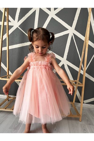 Serackids Girl Baby Kids Winged Birthday Party Wedding Special Occasion Tulle Tutu Lined Princess Christmas Dress