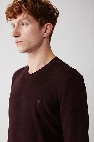 Avva Men's Burgundy V-Neck Non-Pilling Sweater E 005003